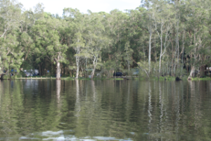 Myall Lakes Neranie Sands