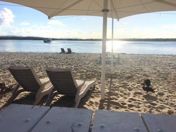 ‎⁨Couran Cove Parkland⁩, ⁨South Stradbroke⁩, ⁨Gold Coast⁩, ⁨Australia⁩